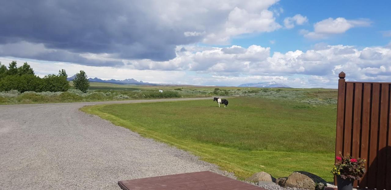 Skalinn Between Gullfoss And Geysir - Myrkholt Farm Haukadalur Экстерьер фото